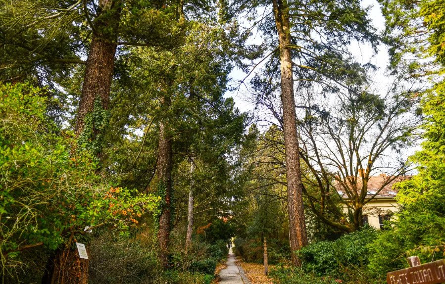 Sopron Botanical Garden , Hungary